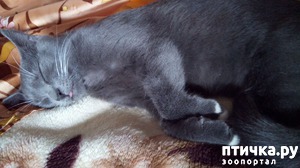 ����: ������� ���� - �������