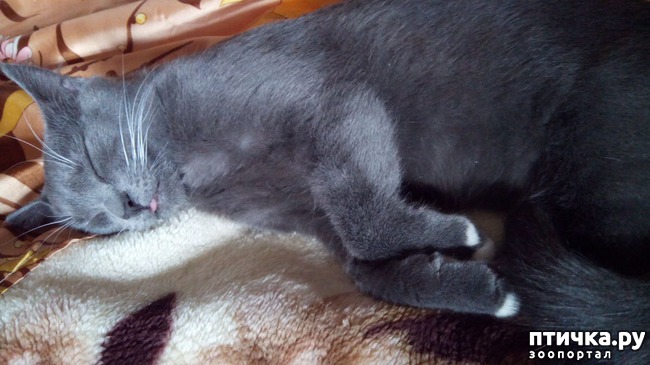 ���� 1: ������� ���� - �������