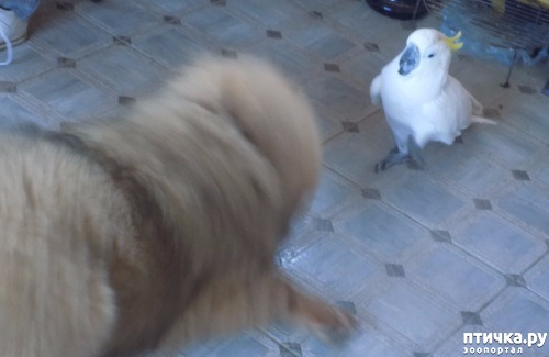 ���� 7: �������� � �������������� �����