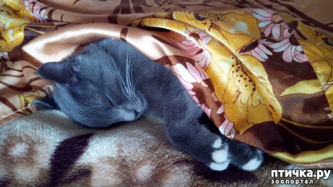 ���� 2: ������� ���� - �������