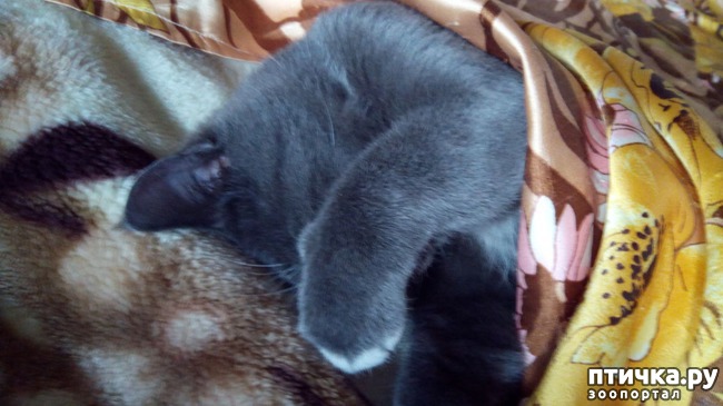 ���� 3: ������� ���� - �������