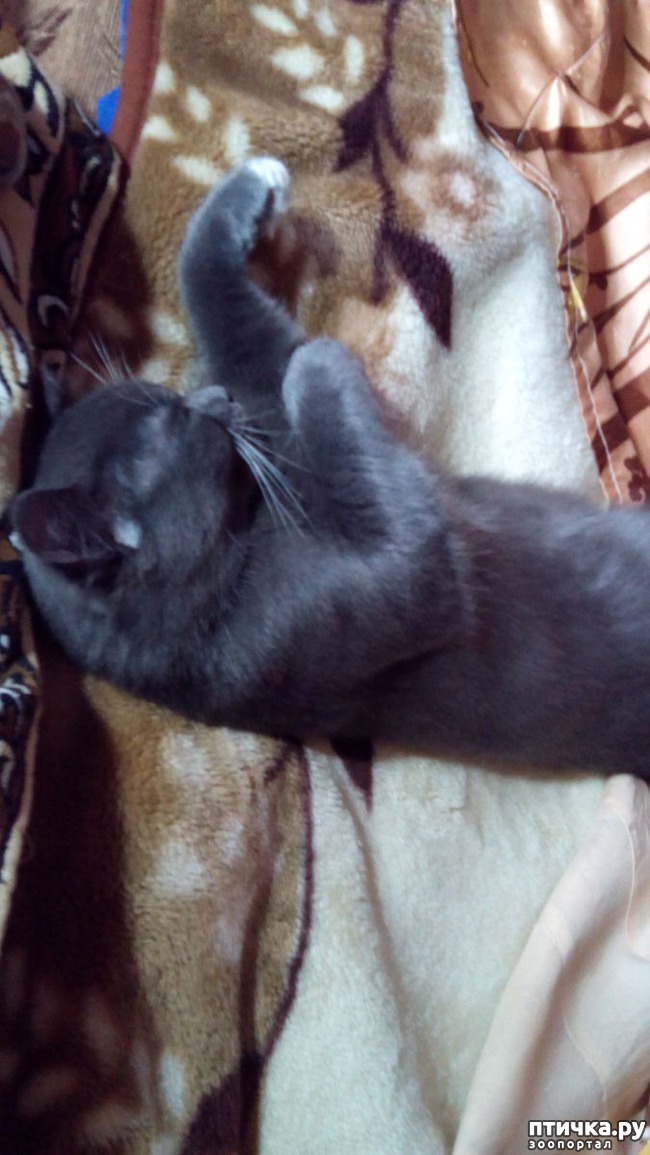 ���� 4: ������� ���� - �������