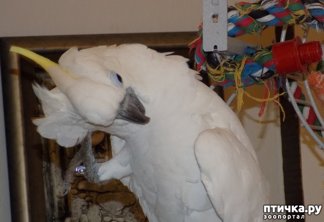 ���� 8: �������� � �������������� �����