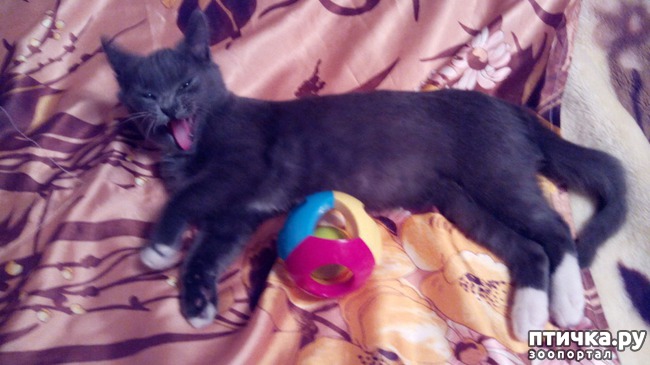 ���� 5: ������� ���� - �������