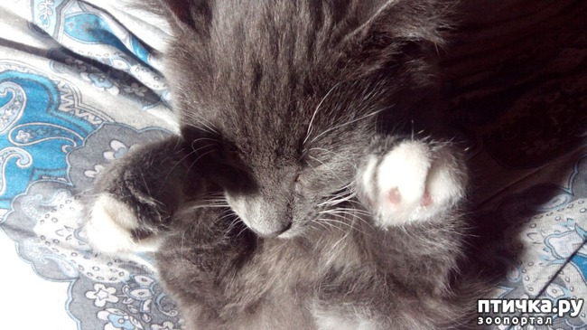 ���� 6: ������� ���� - �������