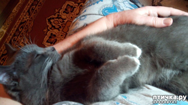 ���� 7: ������� ���� - �������