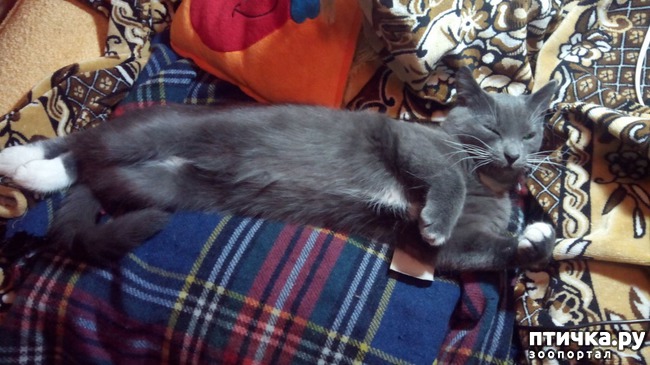 ���� 9: ������� ���� - �������