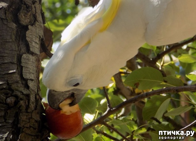 ���� 9: �������� � �������������� �����