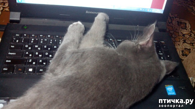 ���� 10: ������� ���� - �������