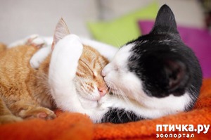 ����: ������� � ��� �� ������ �������, �� � �������!