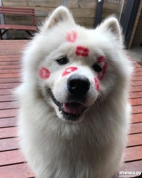 ���� 5: ������������ ��������, �o��p�� ���� �o���� oc�a����� �a ���o����