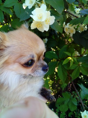 ����: ����� �� ����� �����