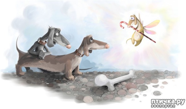 ���� 2: � ������� � �������� � ������ ������. ������������ ������� � ���������