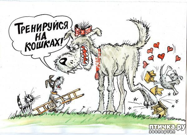 ���� 1: � ������� � �������� � ������ ������. ������������ ������� � ���������