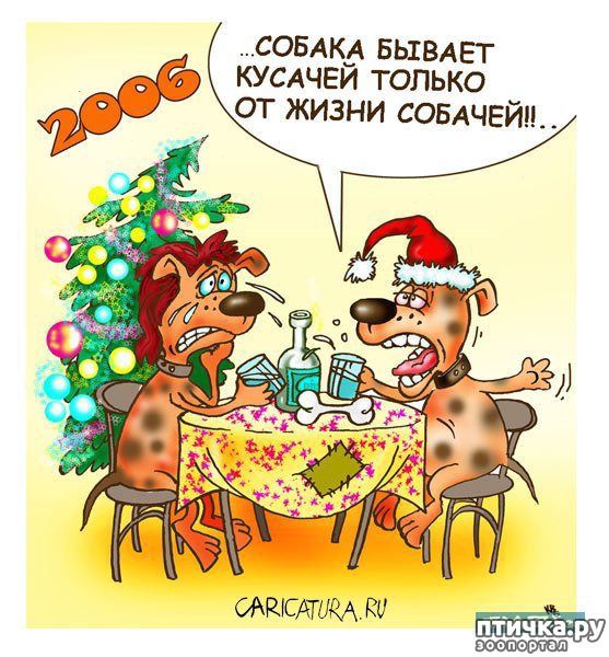 ���� 3: � ������� � �������� � ������ ������. ������������ ������� � ���������