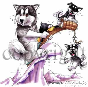 ���� 6: � ������� � �������� � ������ ������. ������������ ������� � ���������