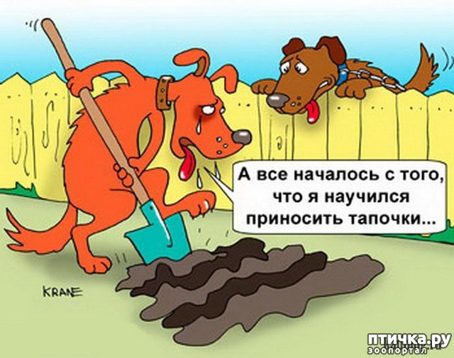 ���� 5: � ������� � �������� � ������ ������. ������������ ������� � ���������