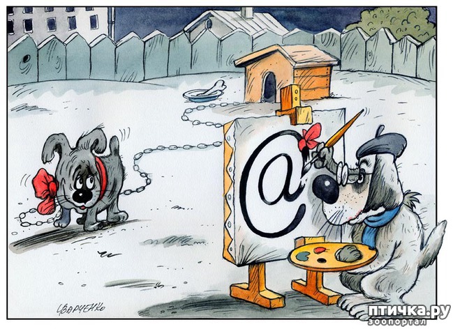 ���� 4: � ������� � �������� � ������ ������. ������������ ������� � ���������