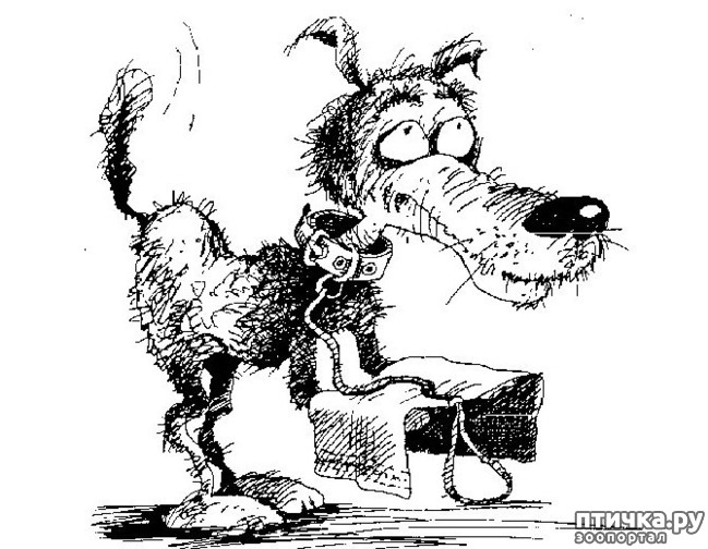 ���� 8: � ������� � �������� � ������ ������. ������������ ������� � ���������