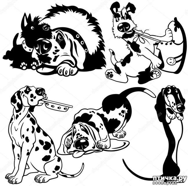 ���� 7: � ������� � �������� � ������ ������. ������������ ������� � ���������