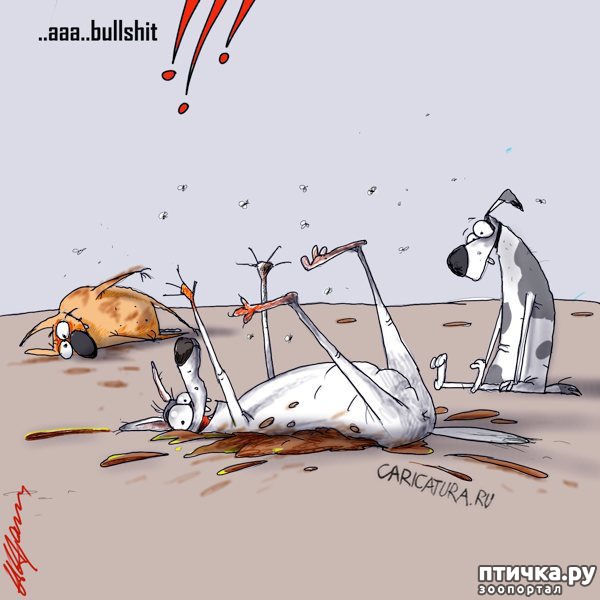 ���� 11: � ������� � �������� � ������ ������. ������������ ������� � ���������