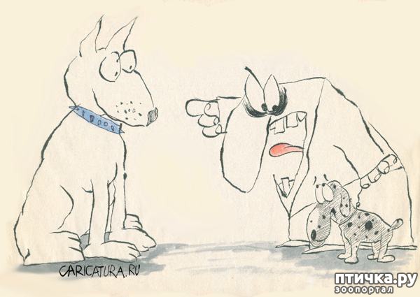 ���� 14: � ������� � �������� � ������ ������. ������������ ������� � ���������