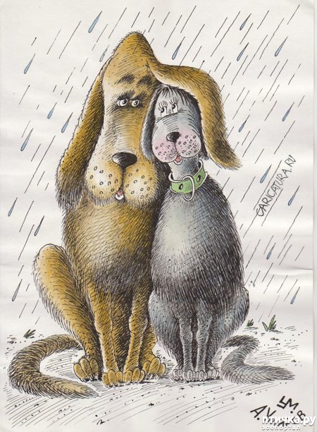 ���� 13: � ������� � �������� � ������ ������. ������������ ������� � ���������