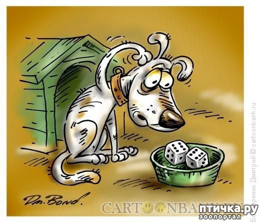 ���� 17: � ������� � �������� � ������ ������. ������������ ������� � ���������