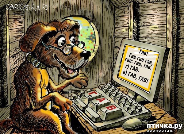 ���� 12: � ������� � �������� � ������ ������. ������������ ������� � ���������