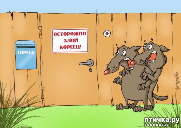 ���� 18: � ������� � �������� � ������ ������. ������������ ������� � ���������