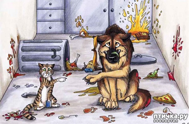 ���� 16: � ������� � �������� � ������ ������. ������������ ������� � ���������