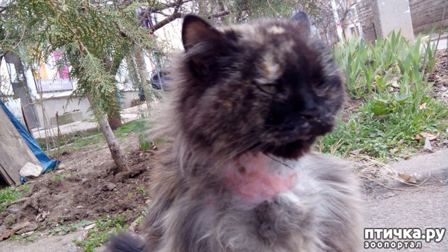 ���� 2: �������� ��������