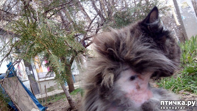 ���� 3: �������� ��������