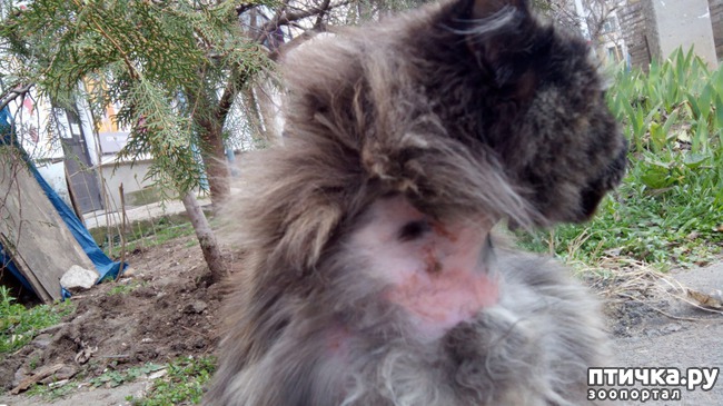 ���� 4: �������� ��������