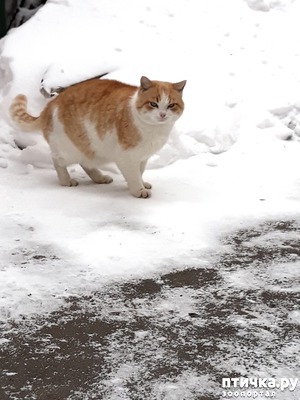 ����: ������������ � ��������� ���������. ������� �����