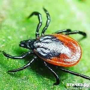 ����: ����! ��� ������ ������