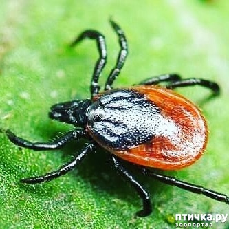 ���� 1: ����! ��� ������ ������