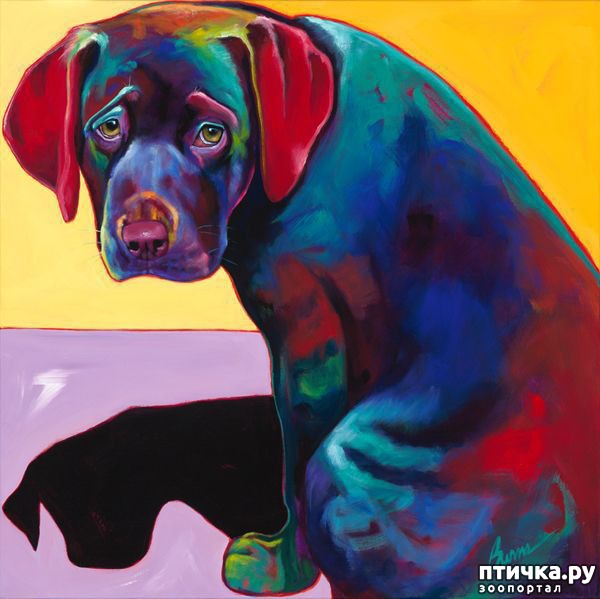 ���� 3: ������ � ����������� ��������