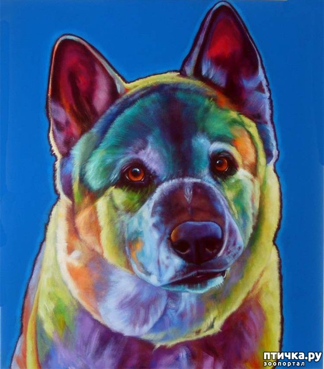 ���� 2: ������ � ����������� ��������