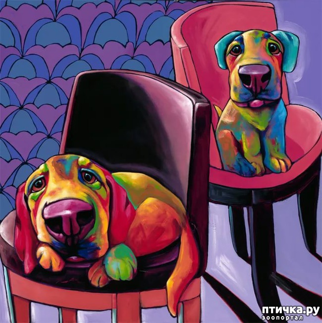 ���� 5: ������ � ����������� ��������