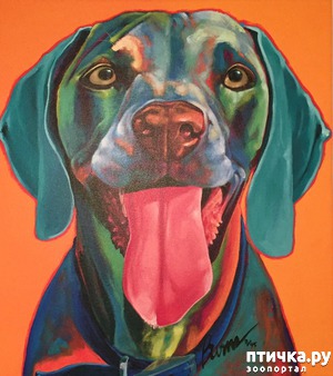 ����: ������ � ����������� ��������