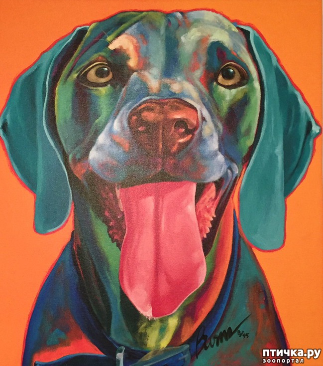 ���� 1: ������ � ����������� ��������