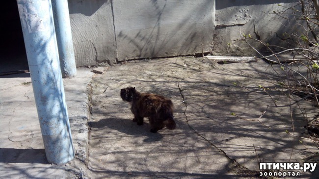 ���� 8: ����� � ��������� � �����