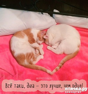 ����: �����������: ������ ������� ��������!