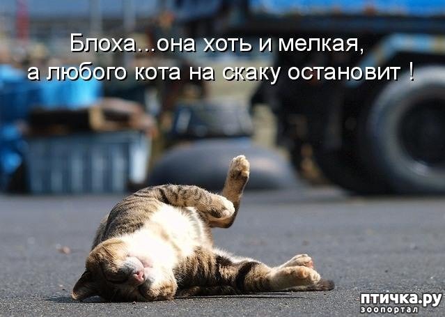 ���� 2: �����������: ������ ������� ��������!