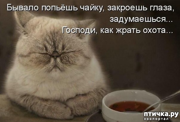 ���� 3: �����������: ������ ������� ��������!