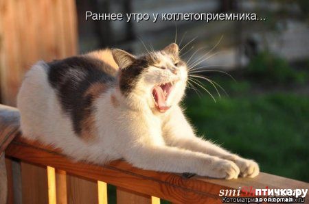 ���� 4: �����������: ������ ������� ��������!