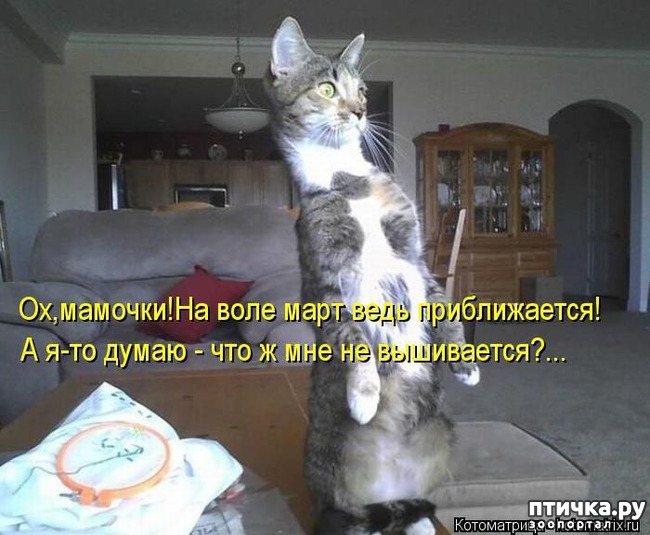 ���� 5: �����������: ������ ������� ��������!