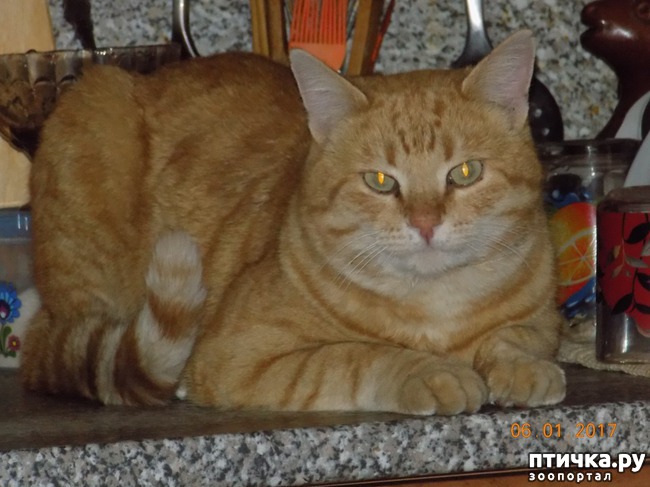 ���� 1: � ������ � ˸�����.