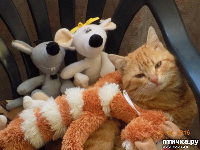 ���� 2: � ������ � ˸�����.